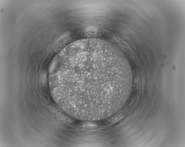 X0000088020610200706011326