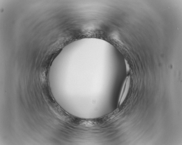 X0000088020611200706011326