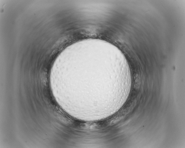 X0000088020612200706011326