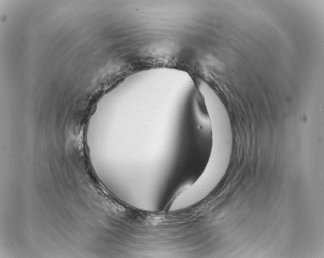 X0000088020613200706011326