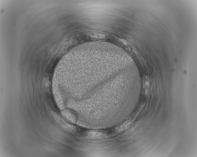 X0000088020614200706011326