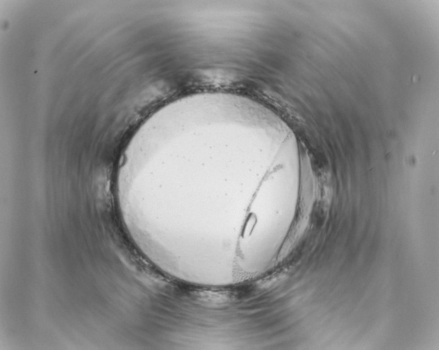 X0000088020615200706011326