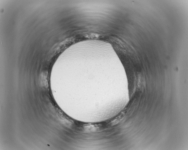 X0000088020616200706011326