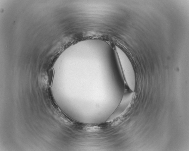 X0000088020617200706011326