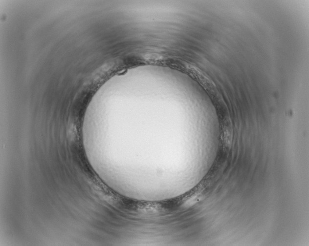 X0000088020618200706011326