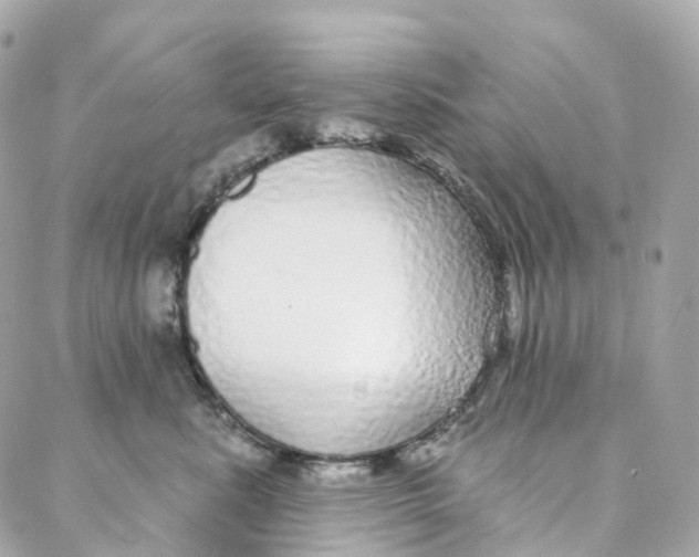 X0000088020619200706011326