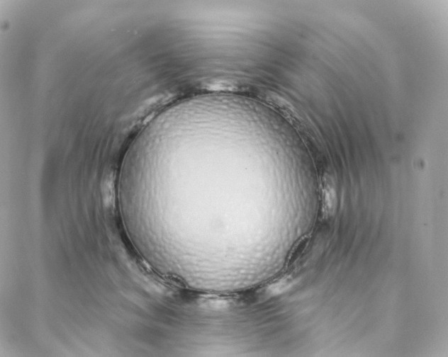 X0000088020620200706011326