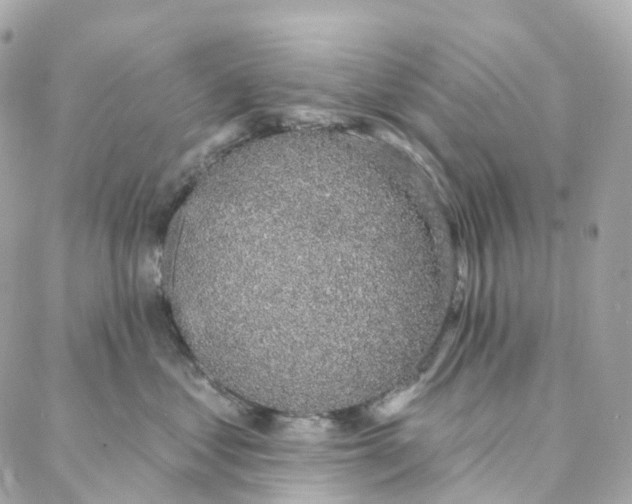 X0000088020621200706011326