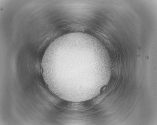 X0000088020622200706011326