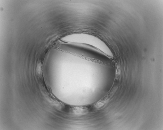 X0000088020623200706011326