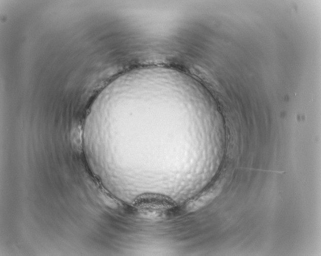 X0000088020624200706011326