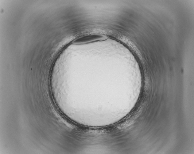 X0000088020625200706011325