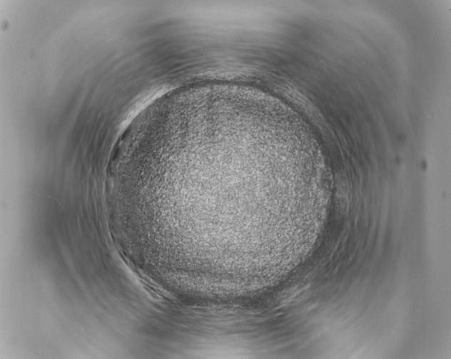 X0000088020626200706011325