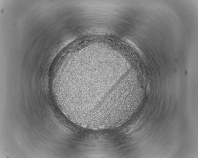 X0000088020627200706011325