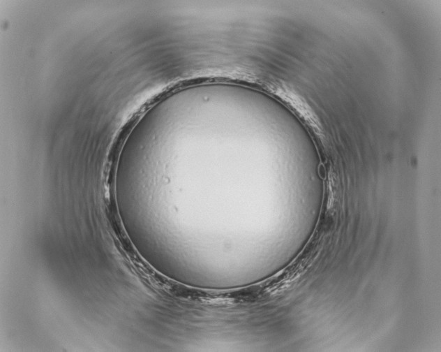 X0000088020628200706011325