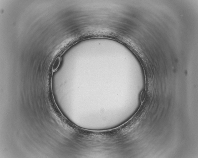 X0000088020629200706011325