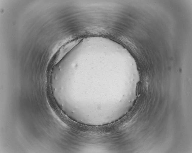 X0000088020630200706011325