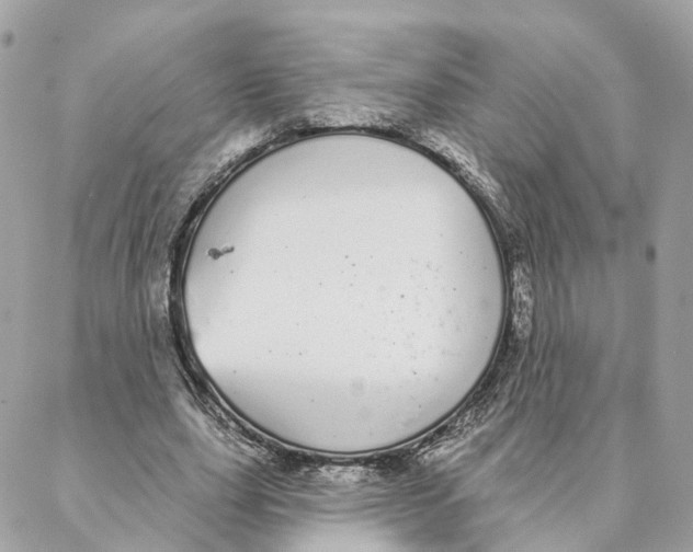 X0000088020631200706011325