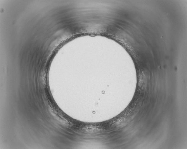 X0000088020632200706011325