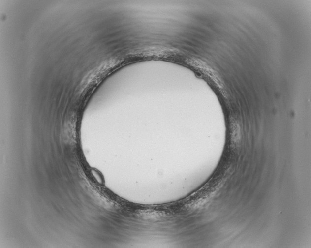 X0000088020633200706011325