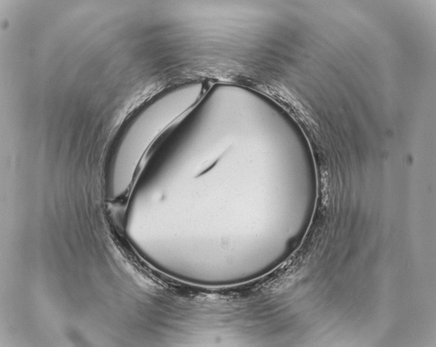 X0000088020634200706011325