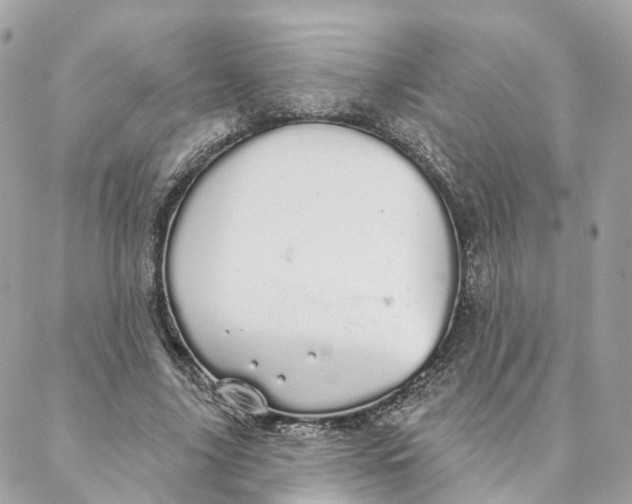 X0000088020635200706011325