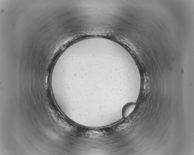 X0000088020636200706011325