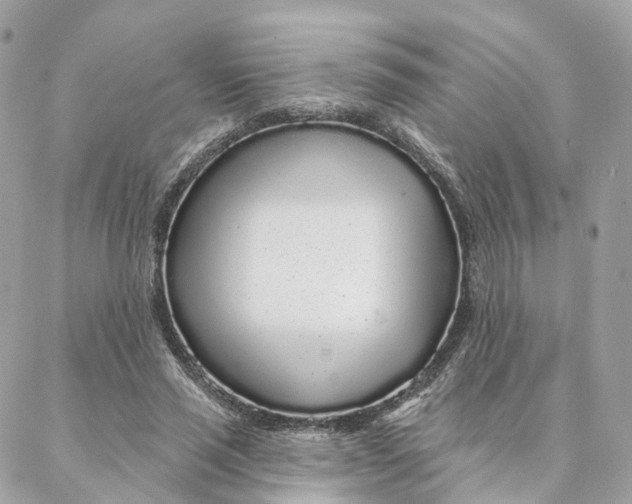 X0000088020637200706011325