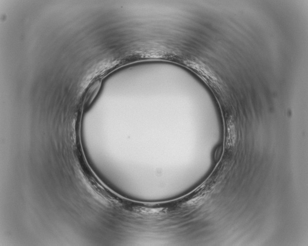 X0000088020638200706011325