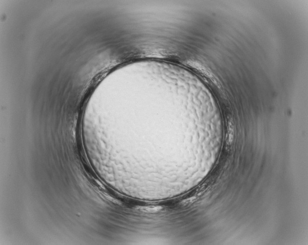 X0000088020639200706011325