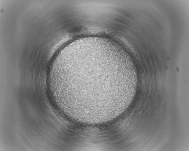 X0000088020640200706011325