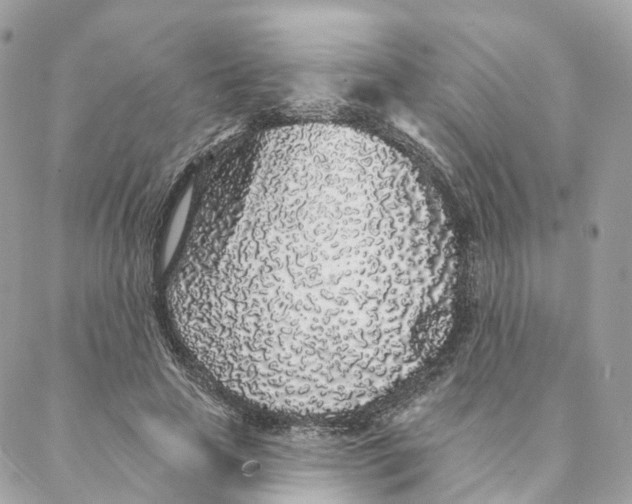 X0000088020641200706011325