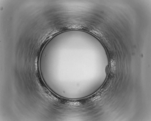 X0000088020642200706011325