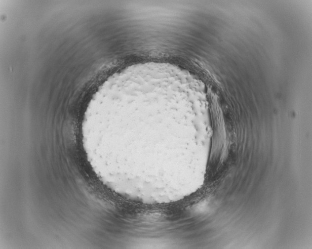 X0000088020643200706011325