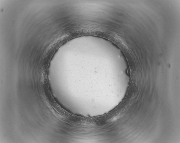 X0000088020644200706011325