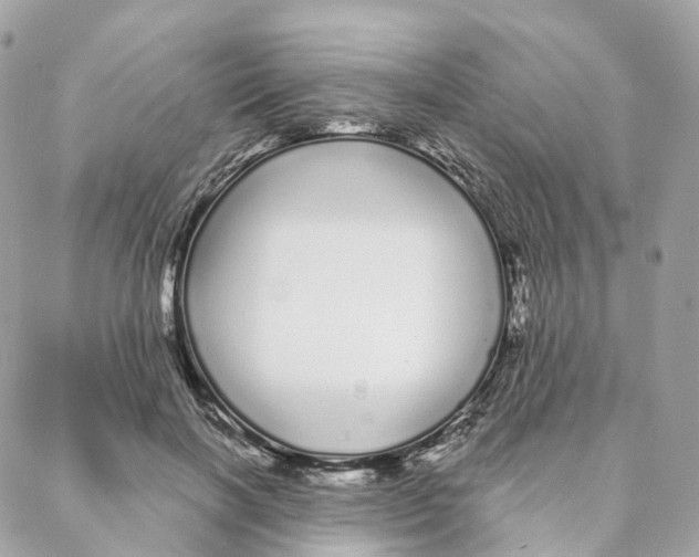 X0000088020646200706011325