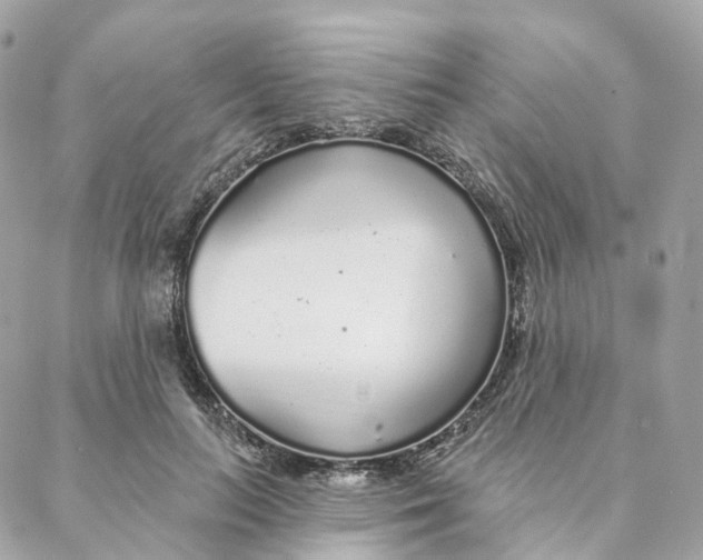 X0000088020647200706011325