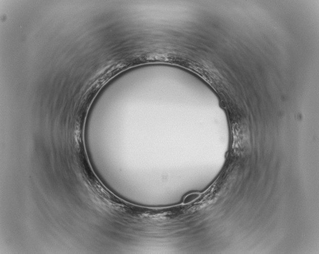 X0000088020648200706011325