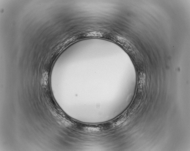 X0000088020649200706011325