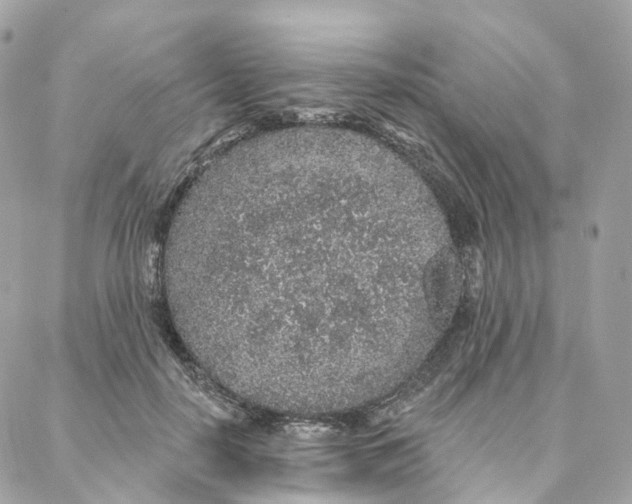 X0000088020650200706011325