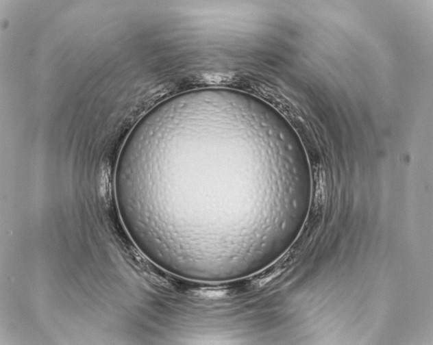 X0000088020651200706011325