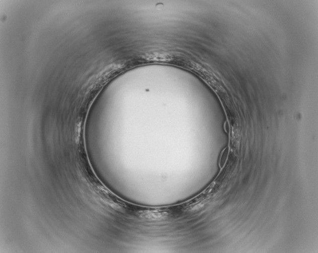 X0000088020652200706011325