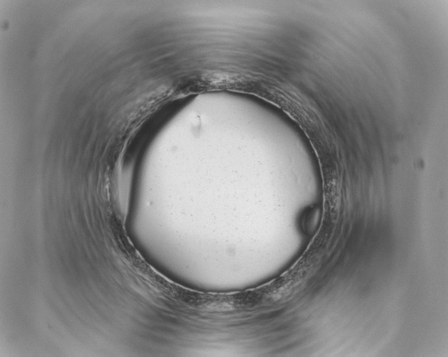 X0000088020653200706011325