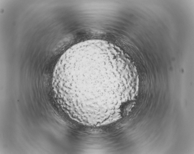 X0000088020654200706011325