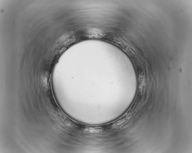 X0000088020655200706011325