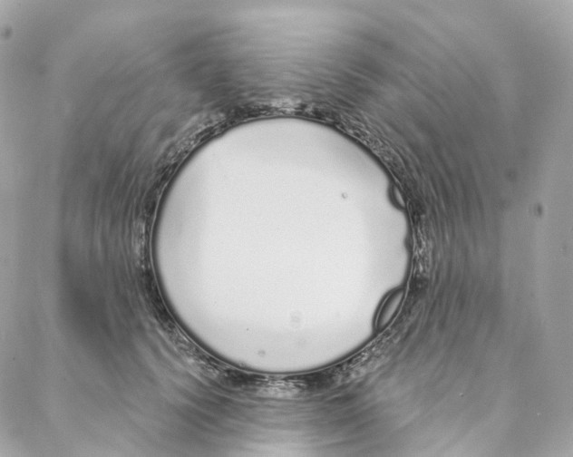 X0000088020656200706011325