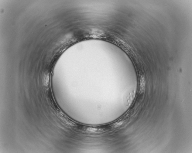 X0000088020657200706011325