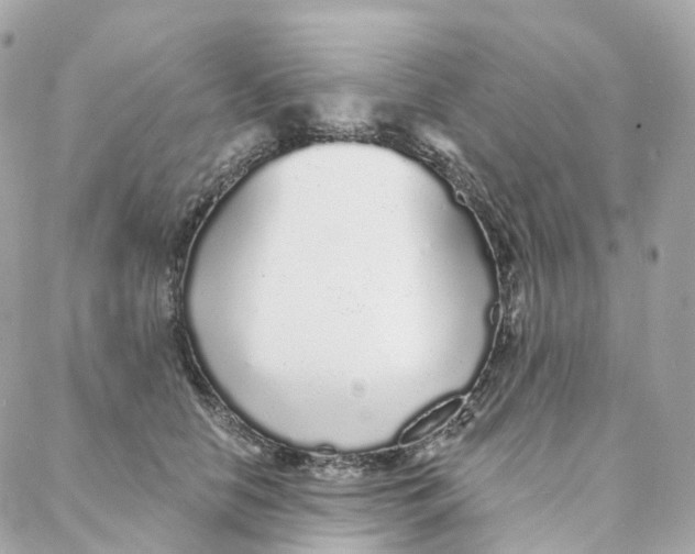 X0000088020658200706011325