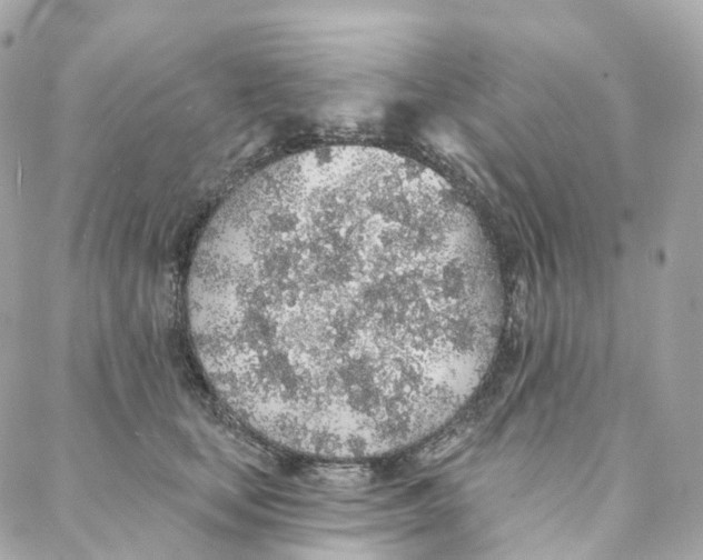 X0000088020659200706011325