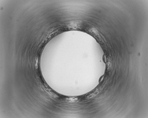 X0000088020660200706011325